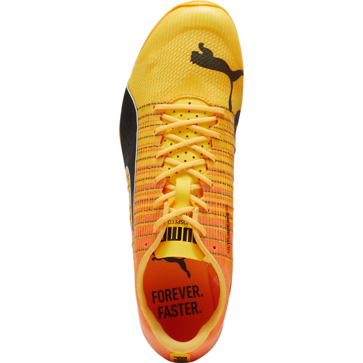 evoSpeed Sprint Nitro 2 Running Spikes - Orange