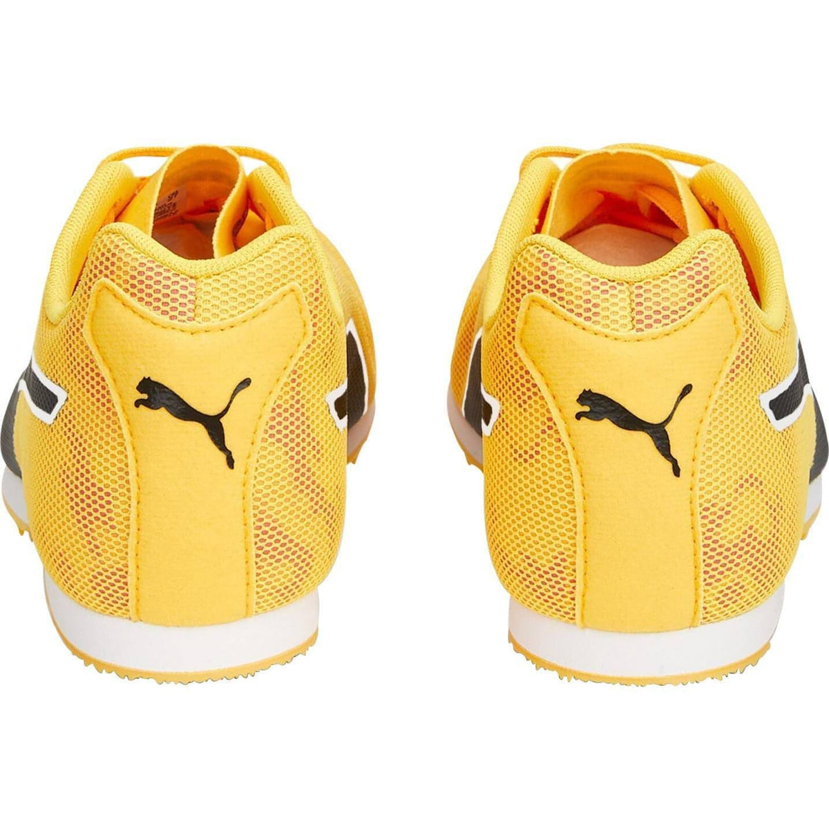 evoSpeed Star 8 Running Spikes - Orange