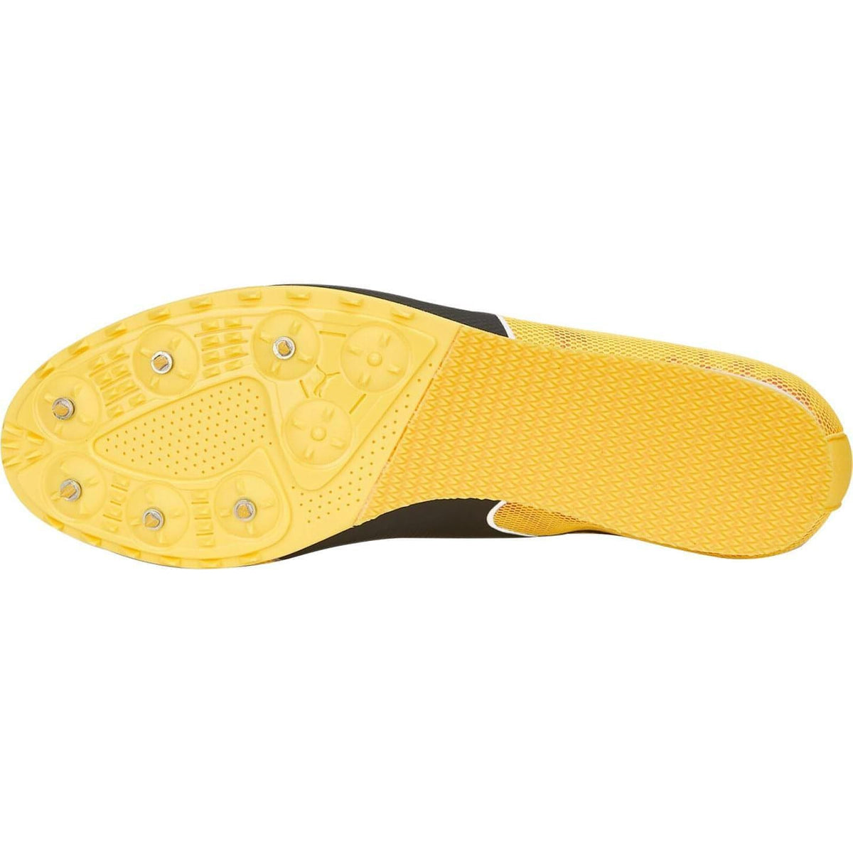 evoSpeed Star 8 Running Spikes - Orange