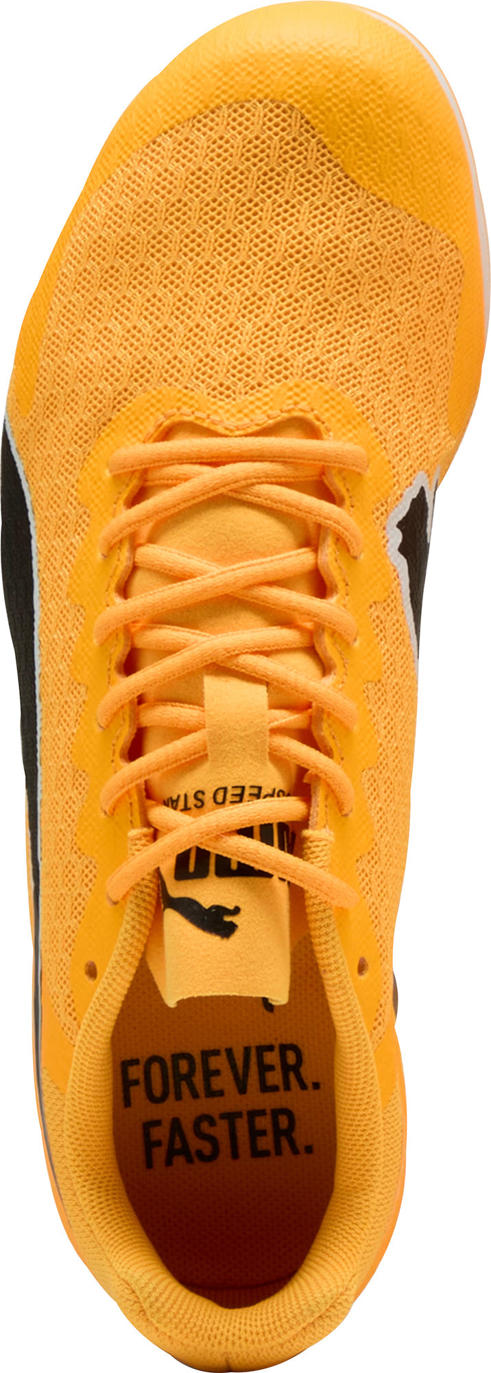 Junior evoSpeed Star 9 Running Spikes - Orange