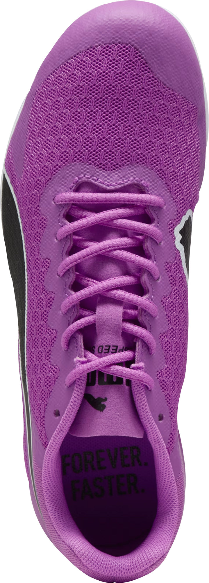 Junior evoSpeed Star 9 Running Spikes - Purple