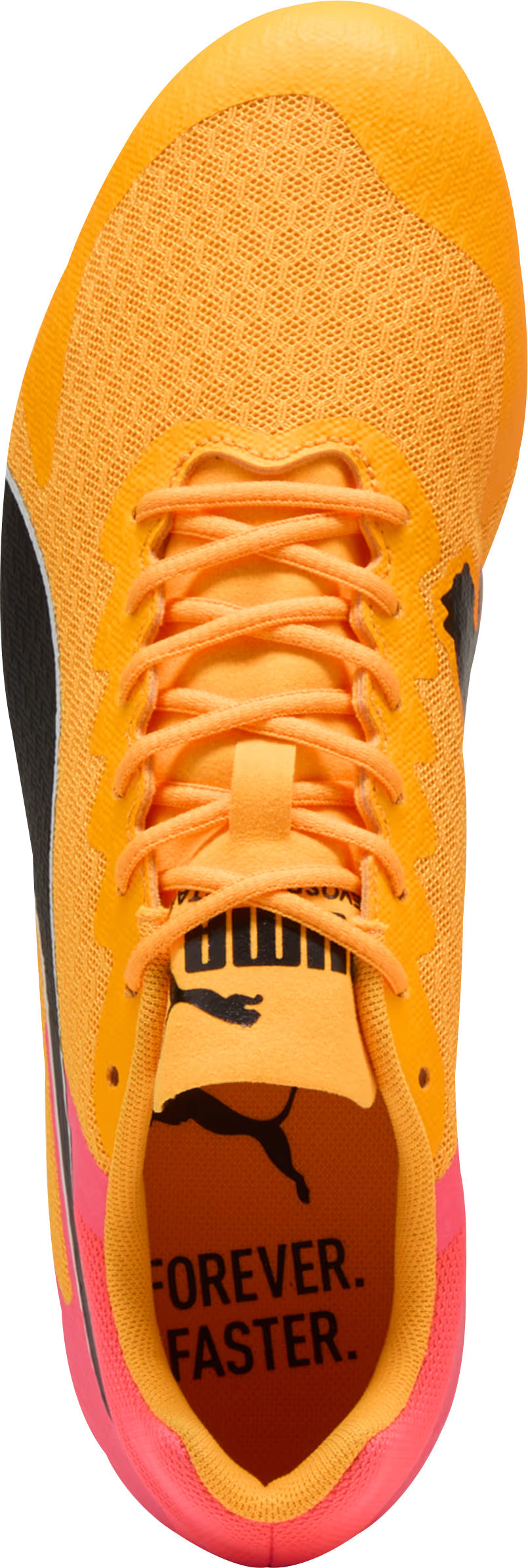 evoSpeed Star 9 Running Spikes - Orange