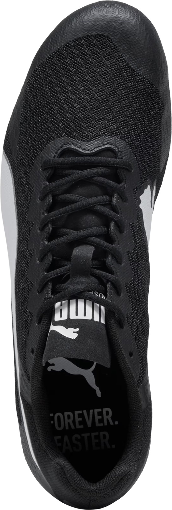 evoSpeed Star 9 Running Spikes - Black