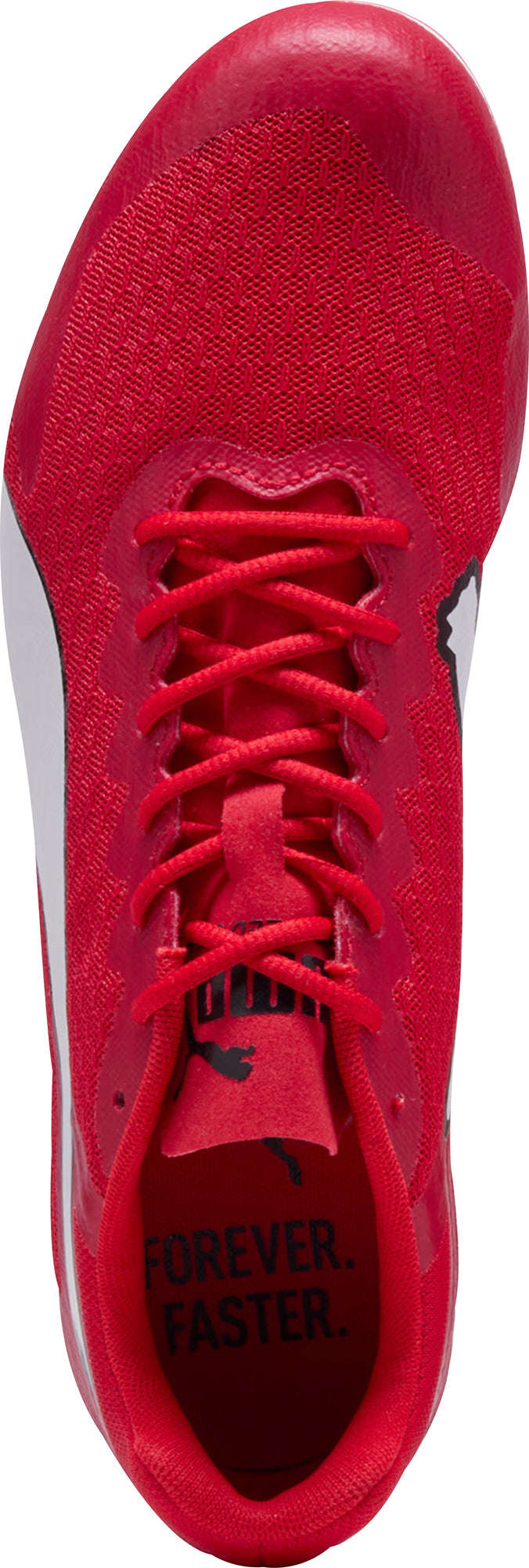evoSpeed Star 9 Running Spikes - Red