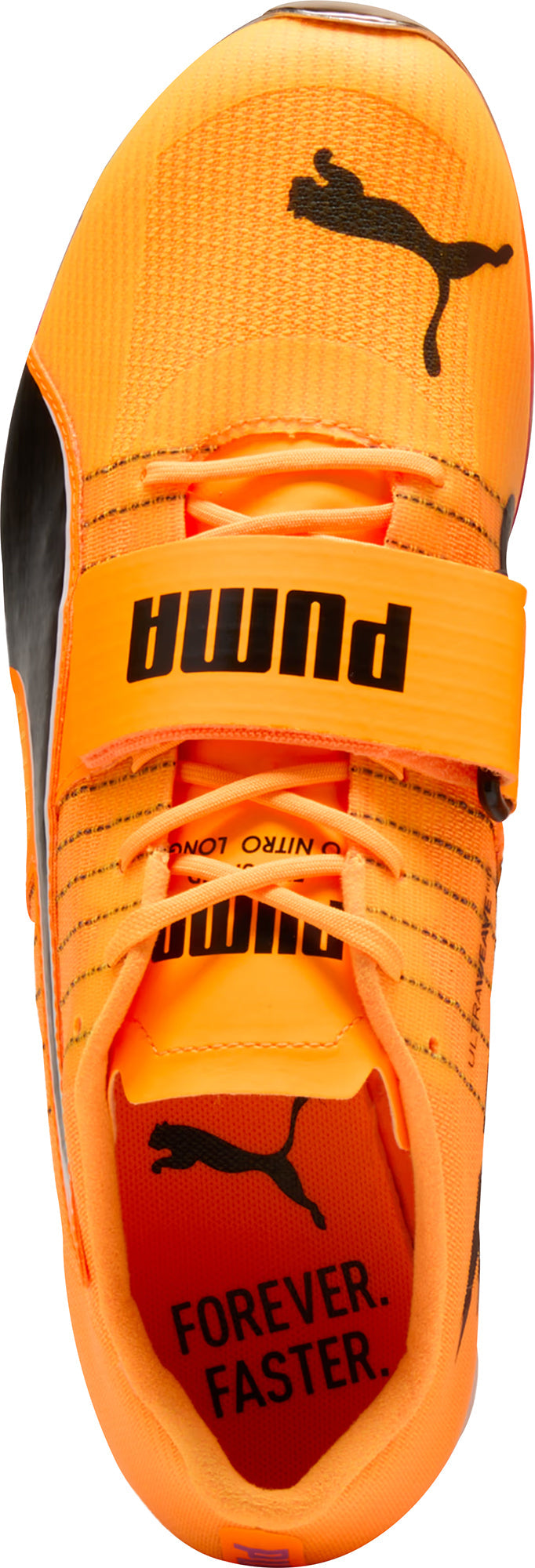 evoSpeed Tokyo Nitro Long Jump Field Event Spikes - Orange