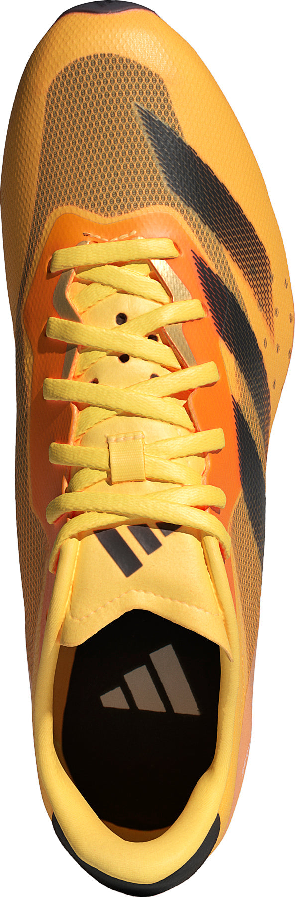 Sprintstar Running Spikes - Orange