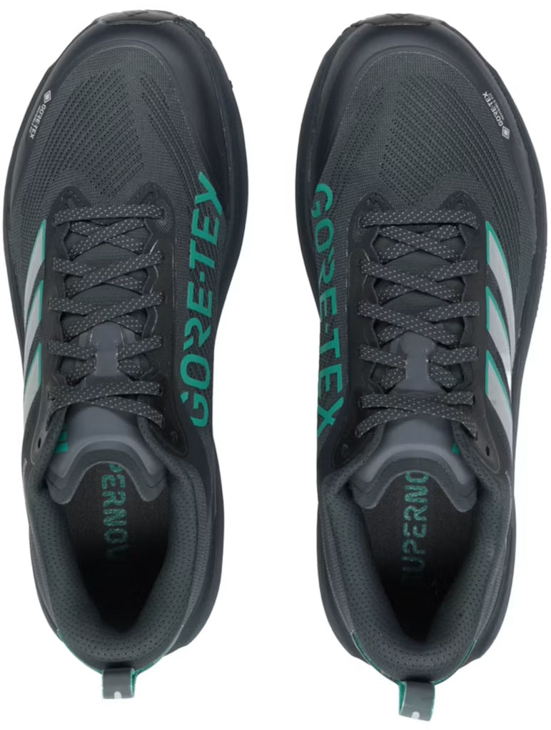 Men's Supernova Rise 3 GORE-TEX Road Running Shoes - Grey