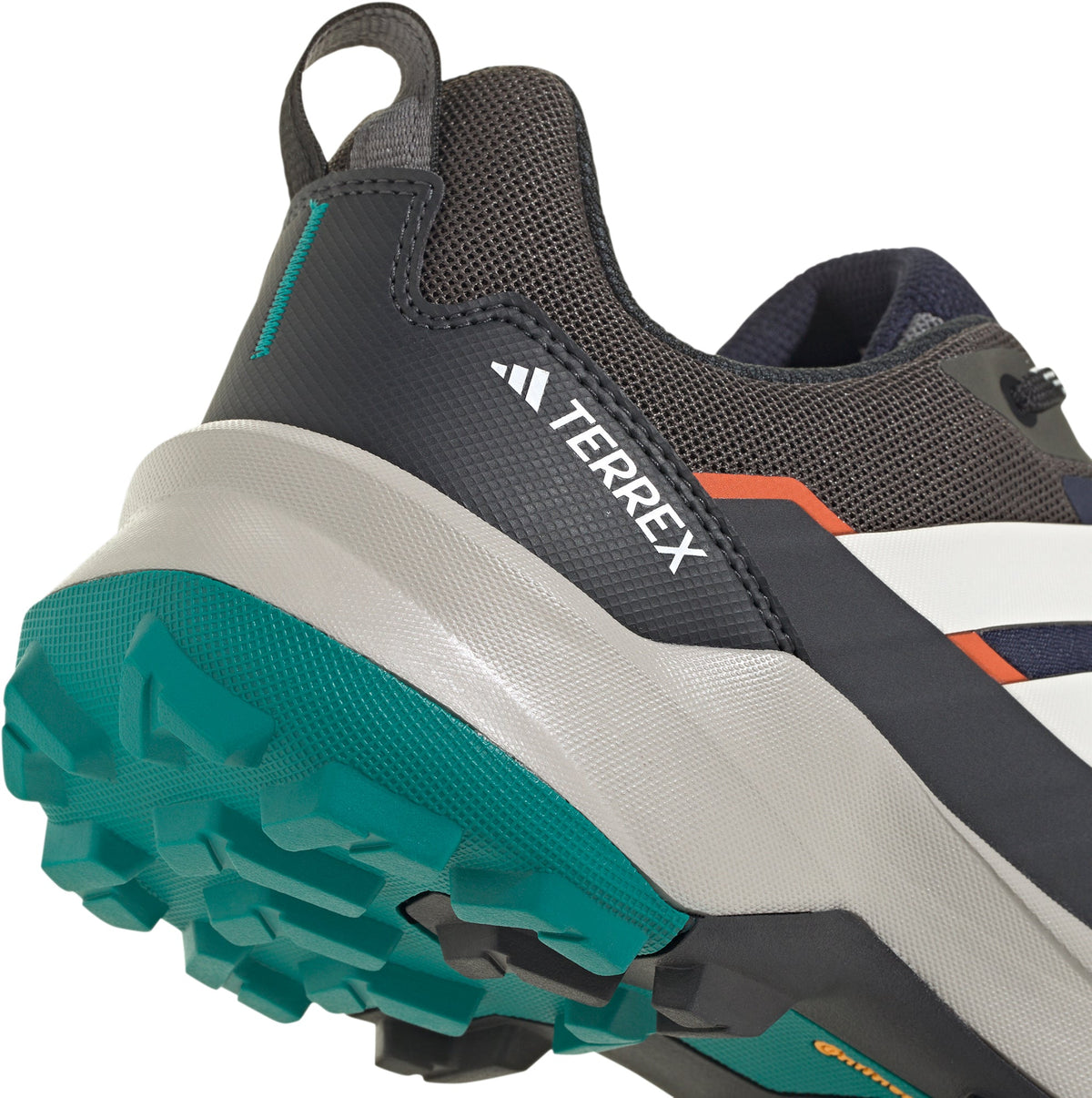 Men's Terrex Skychaser AX5 GORE-TEX Walking Shoes - Blue