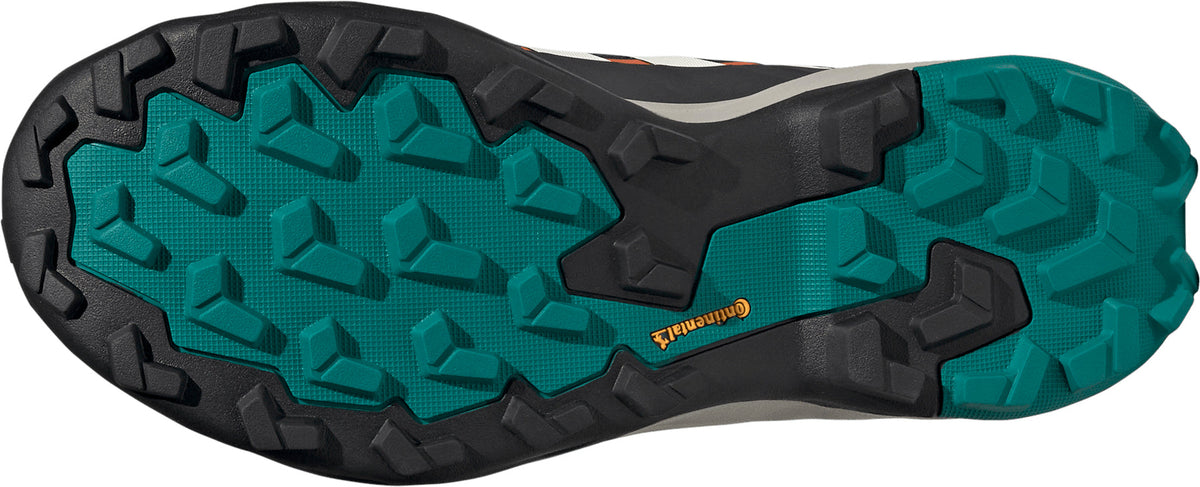 Men's Terrex Skychaser AX5 GORE-TEX Walking Shoes - Blue