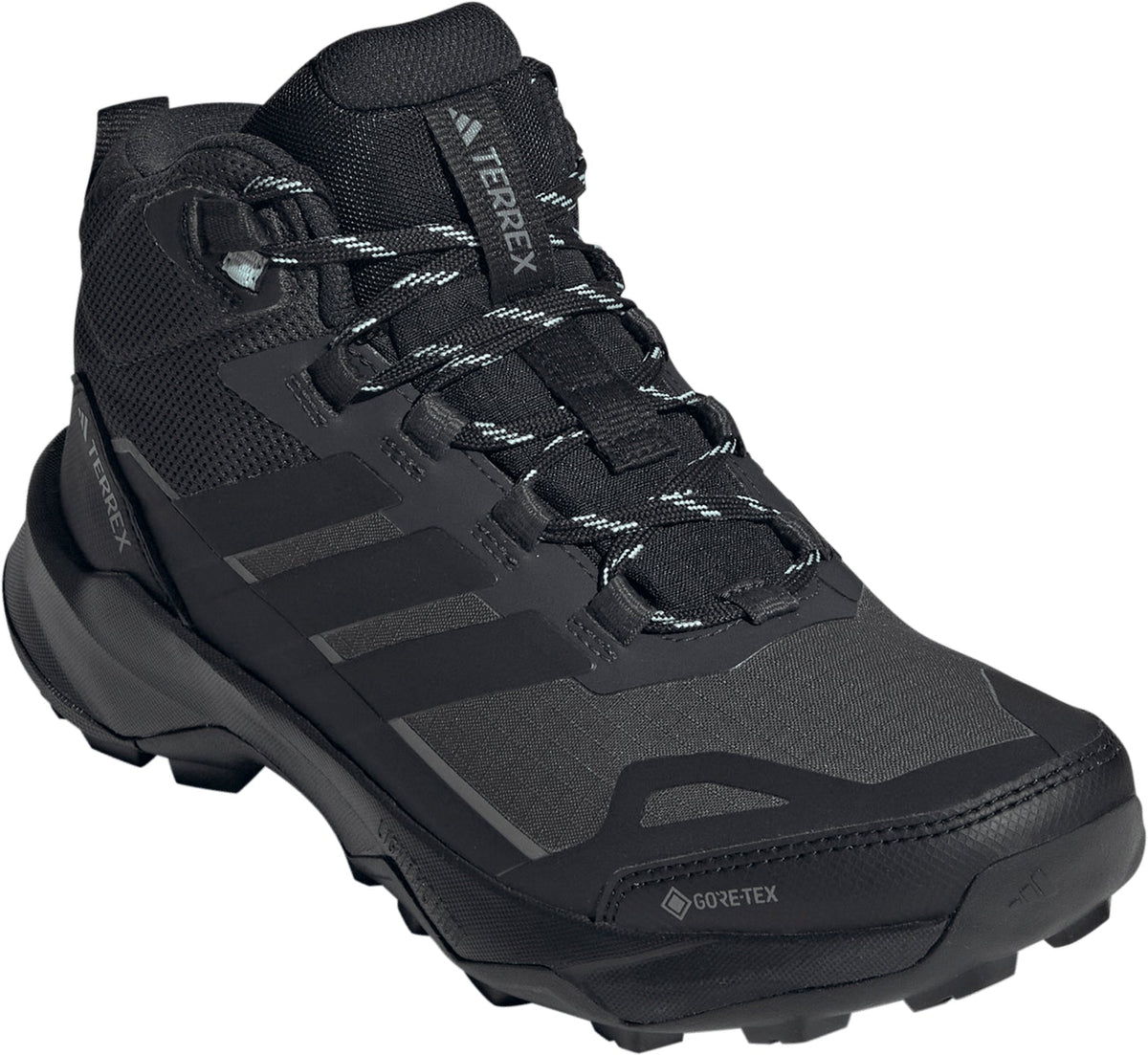 Women's Terrex Skychaser AX5 Mid GORE-TEX Walking Shoes - Black