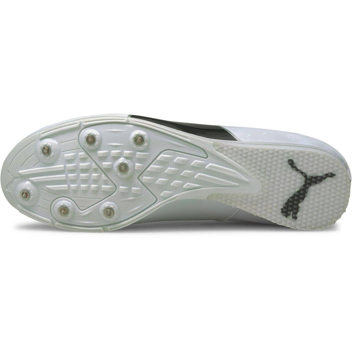 evoSpeed Triple Jump & Pole Vault Field Event Spikes - White